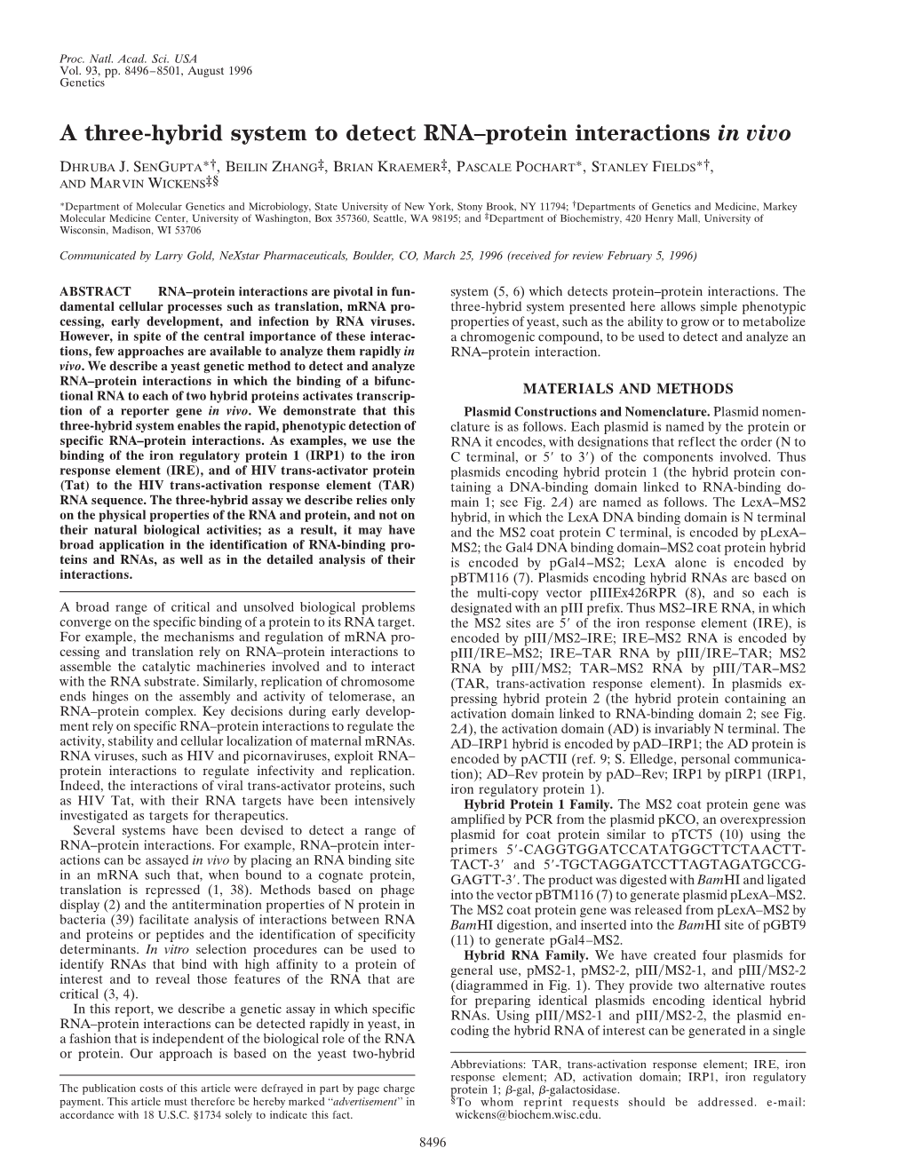 A Three-Hybrid System to Detect RNA–Protein Interactions in Vivo