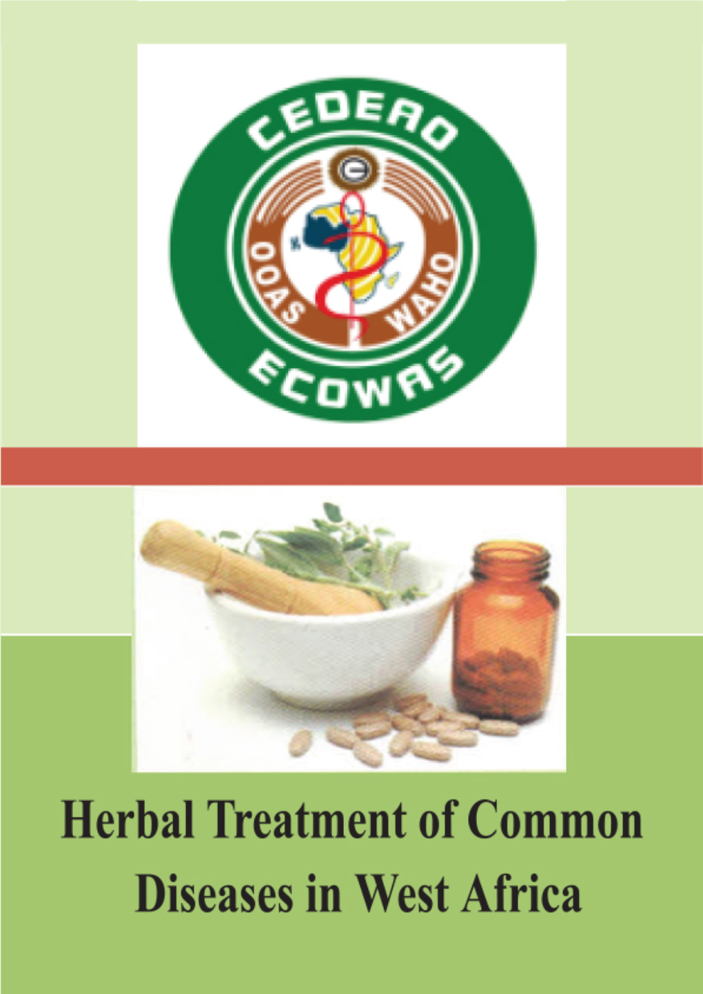 Herbal-Treatment-Common-Diseases