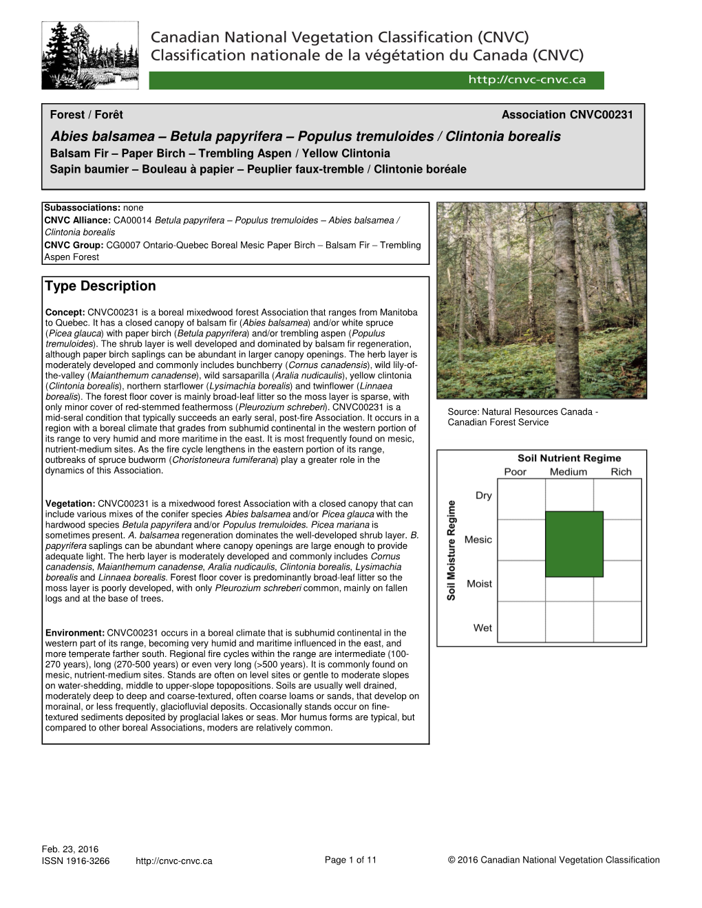 Type Description Abies Balsamea – Betula Papyrifera – Populus