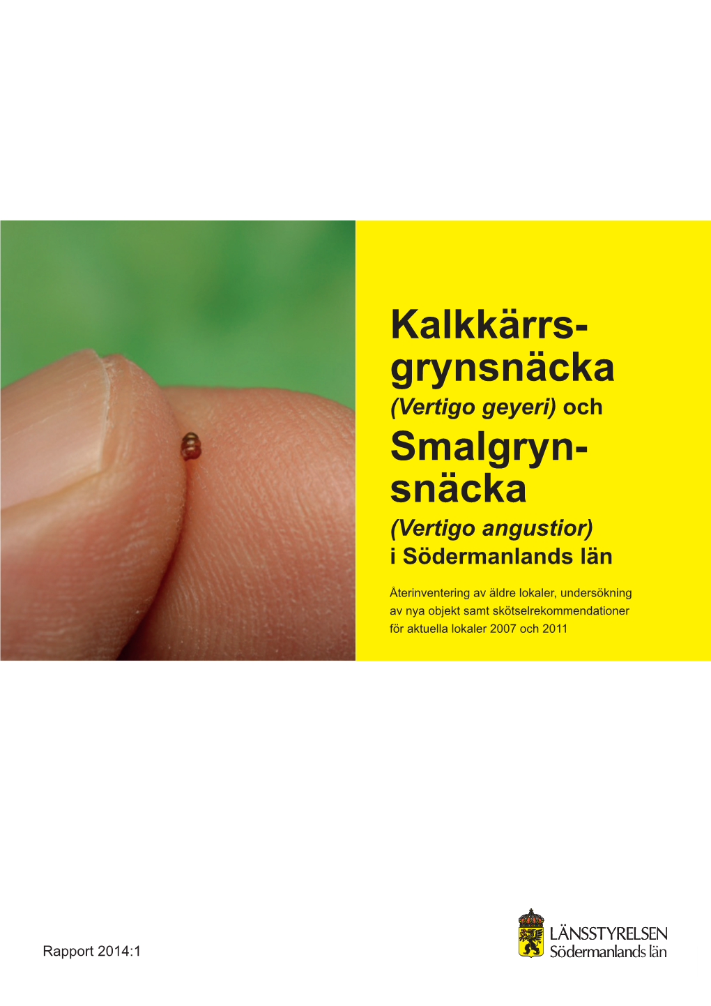 Kalkkärrs- Grynsnäcka Smalgryn- Snäcka