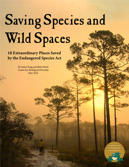Saving Species and Wild Spaces