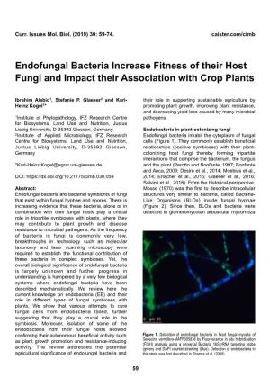 Endofungal Bacteria Increase Fitness of Their Host Fungi and Impact Their Association with Crop Plants