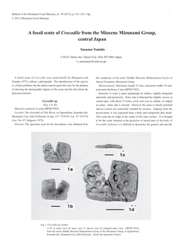 A Fossil Scute of Crocodile from the Miocene Mizunami Group, Central Japan