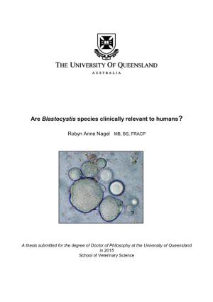 Are Blastocystis Species Clinically Relevant to Humans?