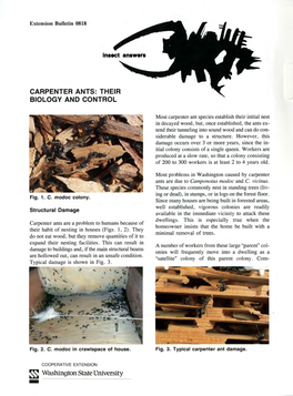 Carpenter Ants: Their Biology and Control