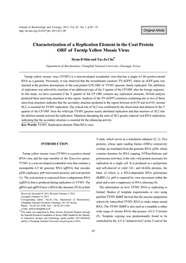 Characterization of a Replication Element in the Coat Protein ORF of Turnip Yellow Mosaic Virus