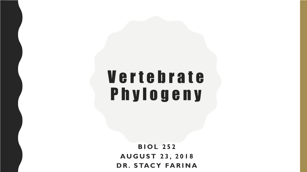 Vertebrate Phylogeny