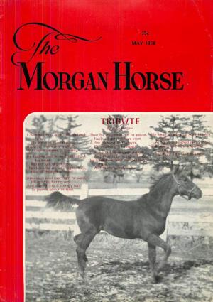 MAY 1958 -- Ale (9T 1V10 GAN HORSE