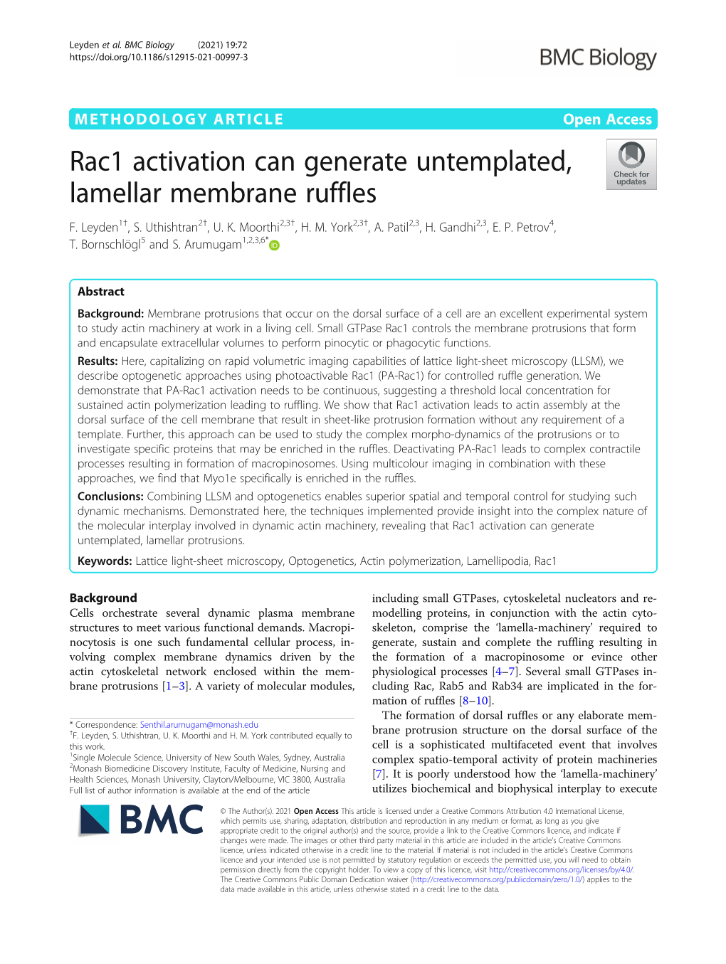 Rac1 Activation Can Generate Untemplated, Lamellar Membrane Ruffles F