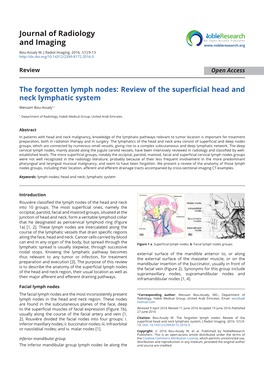 Review of the Superficial Head and Neck Lymphatic System