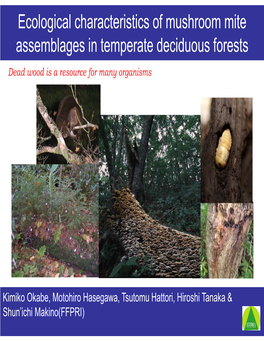Ecological Characteristics of Mushroom Mite Assemblages in Temperate Deciduous Forests