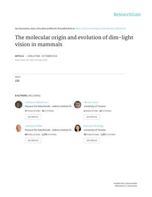 The Molecular Origin and Evolution of Dim-Light Vision in Mammals