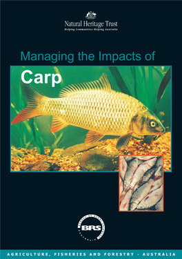 Carp Dominate Fish Communities Managing the Impacts of Carp Throughout Many Waterways in South- Eastern Australia