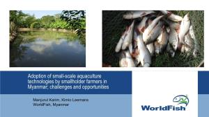 Adoption of Small-Scale Aquaculture Technologies by Smallholder Farmers in Myanmar; Challenges and Opportunities