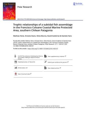Trophic Relationships of a Subtidal Fish Assemblage in the Francisco Coloane Coastal Marine Protected Area, Southern Chilean Patagonia