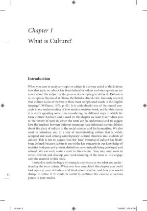 Chapter 1 What Is Culture?