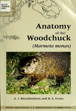 Anatomy of the Woodchuck (Marmota Monax)