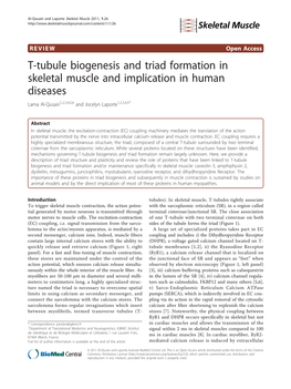 T-Tubule Biogenesis and Triad Formation in Skeletal Muscle and Implication in Human Diseases Lama Al-Qusairi1,2,3,4,5,6 and Jocelyn Laporte1,2,3,4,5*