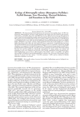Ecology of Heteropsylla Cubana (Homoptera: Psyllidae): Psyllid Damage, Tree Phenology, Thermal Relations, and Parasitism in the Field