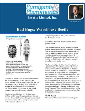 Bad Bugs: Warehouse Beetle