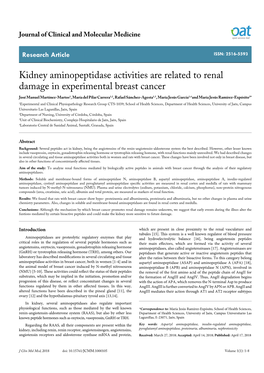 Kidney Aminopeptidase Activities Are Related to Renal Damage In