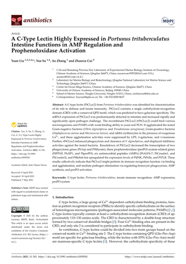 A C-Type Lectin Highly Expressed in Portunus Trituberculatus Intestine Functions in AMP Regulation and Prophenoloxidase Activation