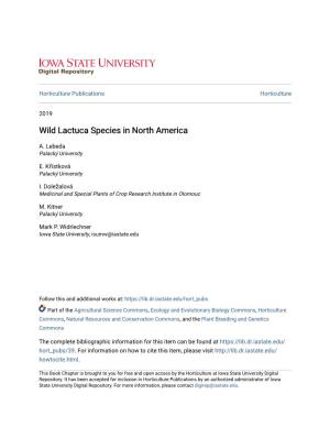 Wild Lactuca Species in North America