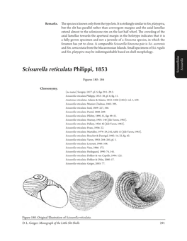 Scissurella Reticulata Philippi, 1853 Scissurella Scissurellidae