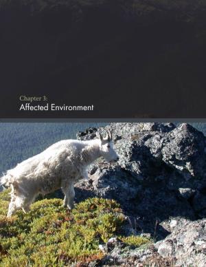 Draft Mountain Goat Management Plan / Environmental Impact