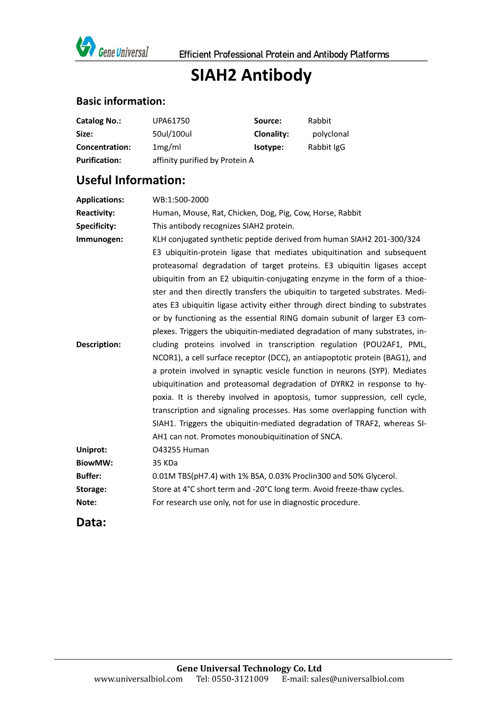 SIAH2 Antibody