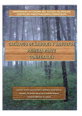 Universidad Autónoma Del Estado De Hidalgo Centro De Investigaciones Forestales