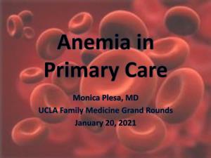 Anemia in Primary Care