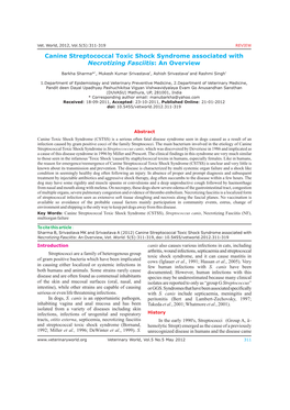 Canine Streptococcal Toxic Shock Syndrome Associated with Necrotizing Fasciitis: an Overview