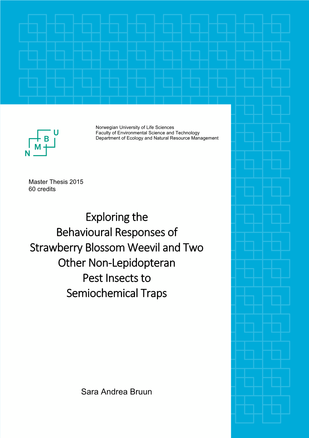 Exploring the Behavioural Responses of Strawberry Blossom Weevil and Two Other Non-Lepidopteran Pest Insects to Semiochemical Traps