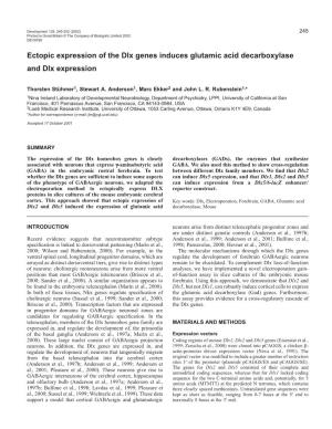 GAD and Dlx Genes 247
