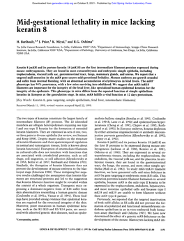 Id-Gestational Lethality in Mice Lacking Eratin 8