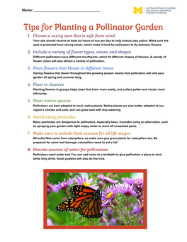 Tips for Planting a Pollinator Garden 1