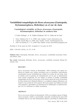 Variabilidad Conquiológica De Iberus Alcarazanus (Gastropoda, Stylommatophora, Helicidae) En El Sur De Jaén