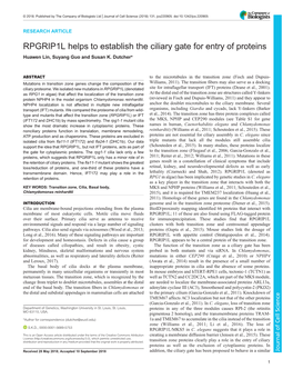 RPGRIP1L Helps to Establish the Ciliary Gate for Entry of Proteins Huawen Lin, Suyang Guo and Susan K