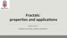 Fractals: Properties and Applications