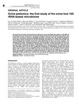 The First Study of the Ovine Foot 16S Rrna-Based Microbiome