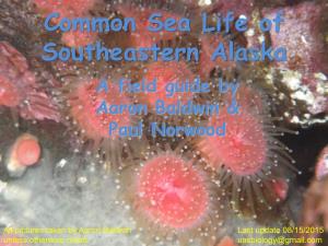 Common Sea Life of Southeastern Alaska a Field Guide by Aaron Baldwin & Paul Norwood