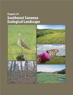Southwest Savanna Ecological Landscape