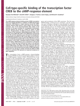 Cell-Type-Specific Binding of the Transcription Factor CREB to the Camp-Response Element