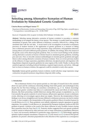 Selecting Among Alternative Scenarios of Human Evolution by Simulated Genetic Gradients