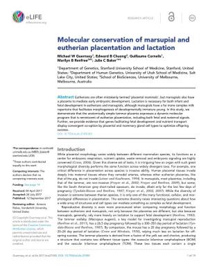 Molecular Conservation of Marsupial and Eutherian Placentation And
