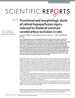 Functional and Morphologic Study of Retinal Hypoperfusion Injury Induced