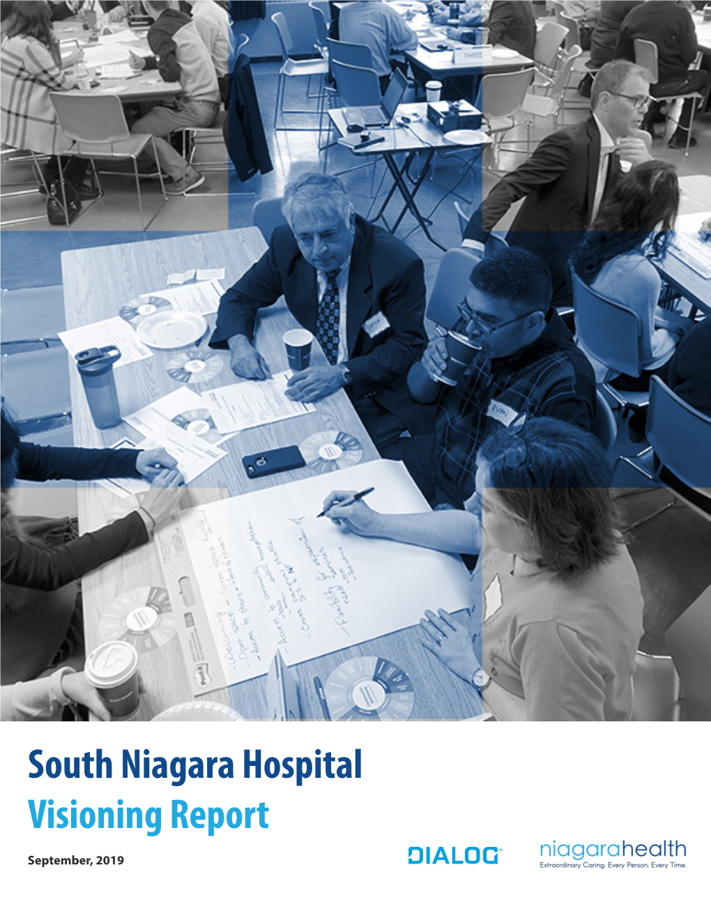 South Niagara Hospital Visioning Report