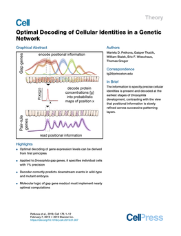 Optimal Decoding of Cellular Identities in a Genetic Network