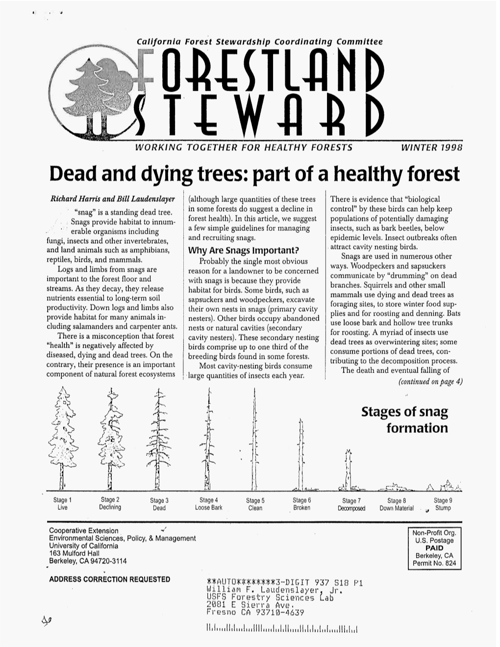 Dead and Dying Trees: Part of a Healthy Forest